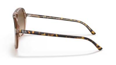Ray-Ban 2198 Bill